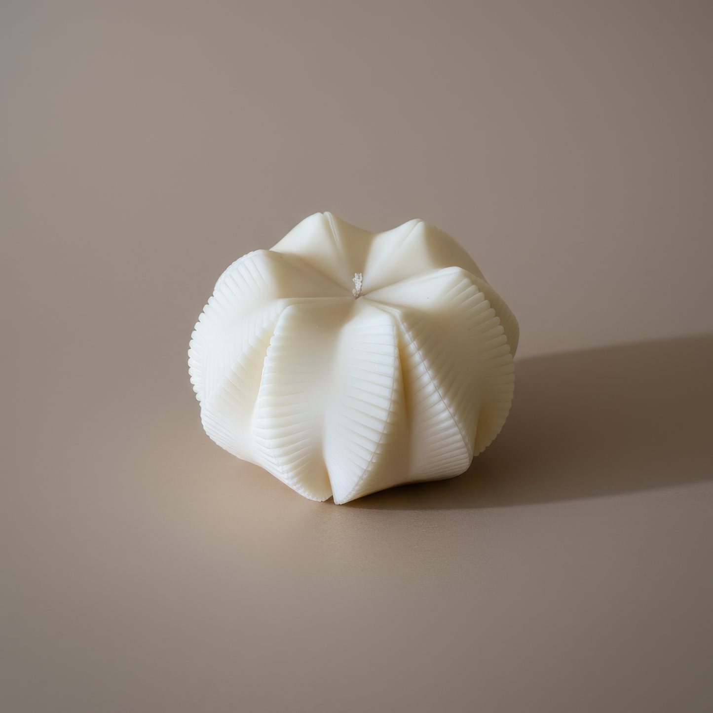 Tidal Fold