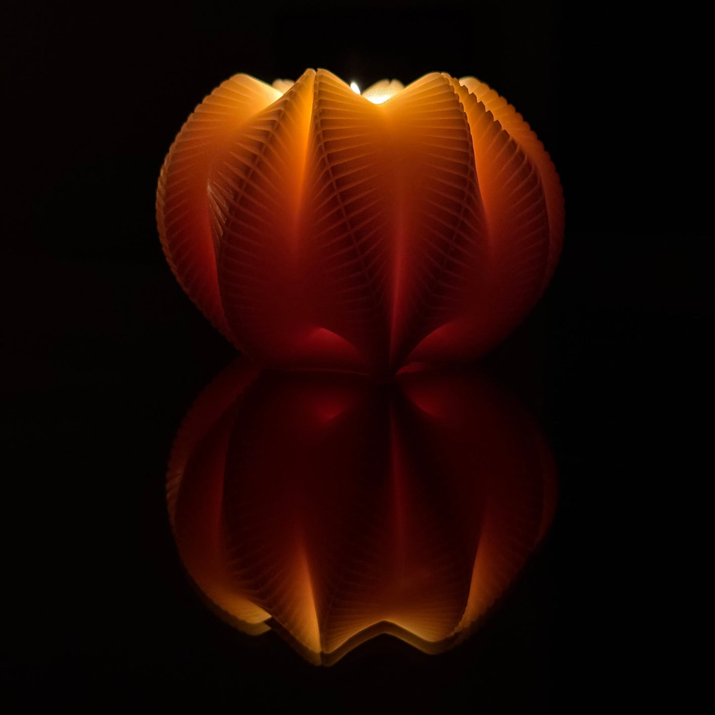 Tidal Fold